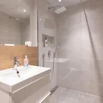 Karu Apartament